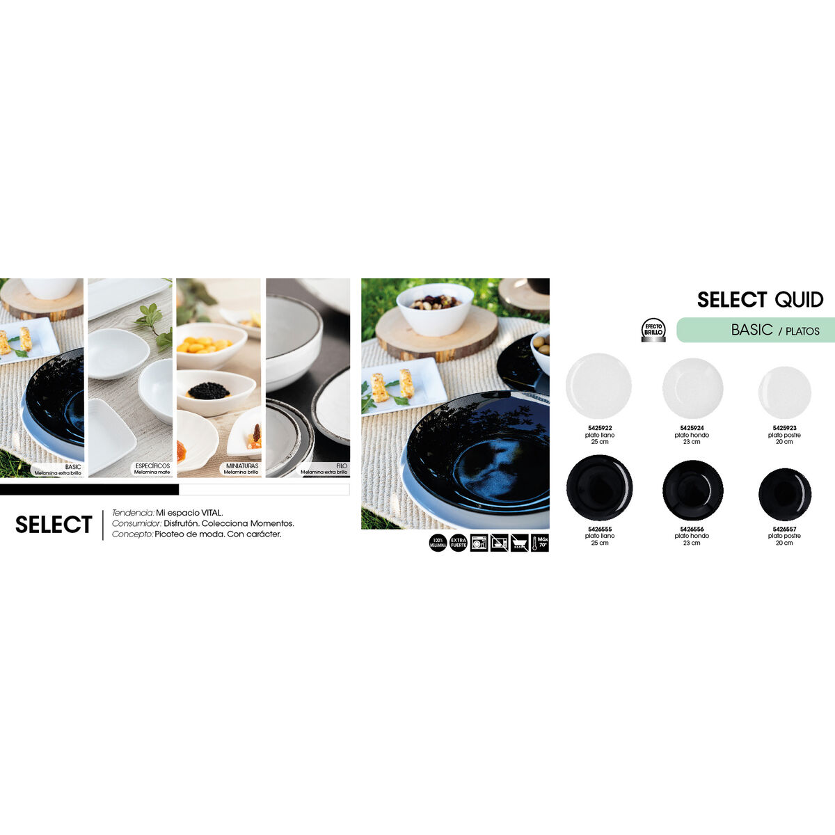 Piatto Fondo Quid Select Basic Nero Melammina 23 cm (24 Unità)
